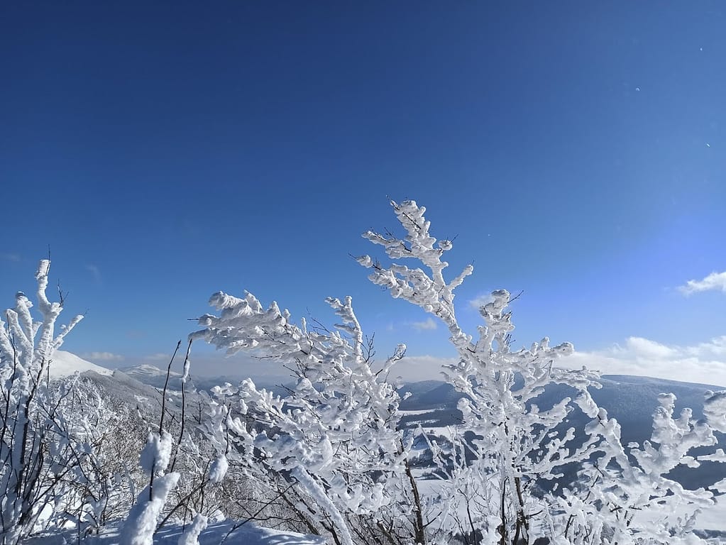 Bajkowa zima w górach Bieszczadach